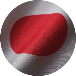 Apprendre le Japonais 🇯🇵 | Le Lab'oratoire des Langages